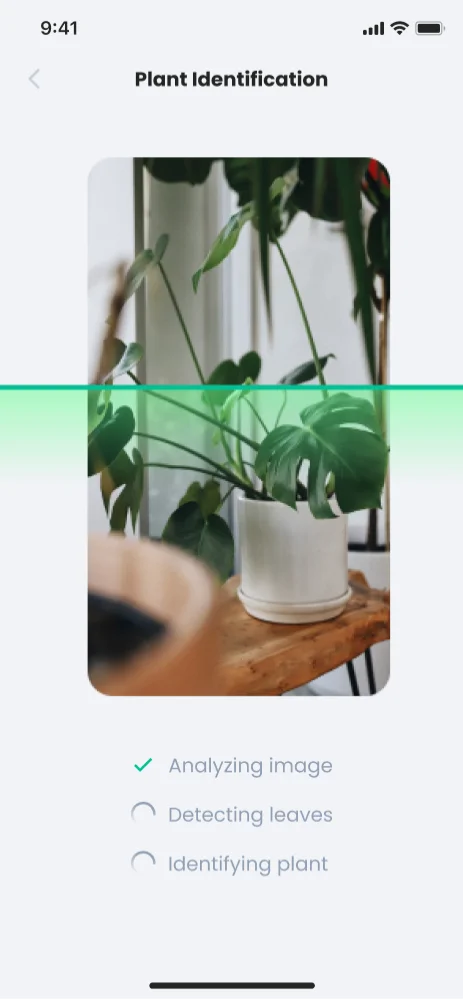 Plant Identification screen